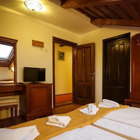 Guest house Pensiunea Roua Muntelui *