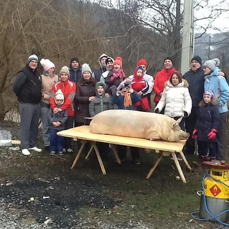 Pensiunea Roua Muntelui Brazesti