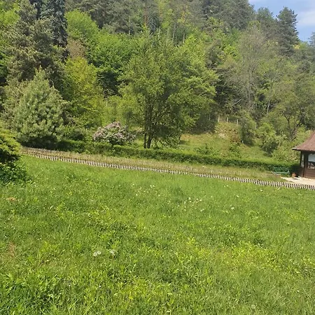 Pensiunea Roua Muntelui * Brazesti